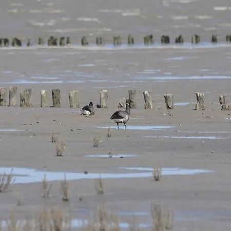 Hotel Sporthotel Dorum