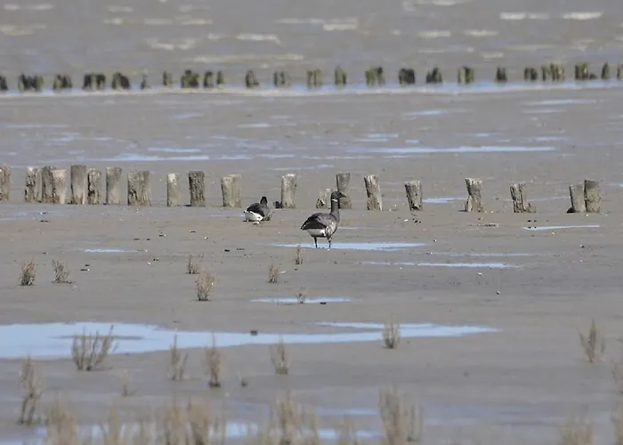 Hotel Sporthotel Dorum